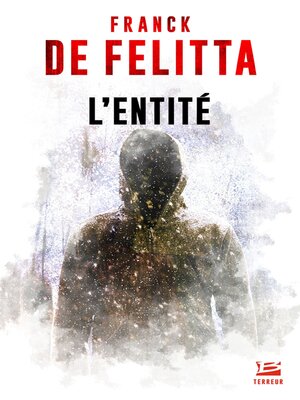 cover image of L'Entité